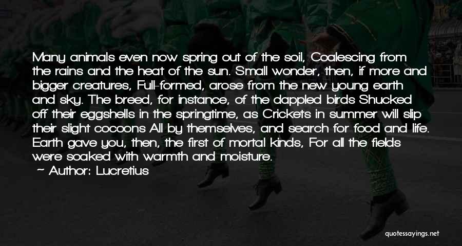 Lucretius Quotes: Many Animals Even Now Spring Out Of The Soil, Coalescing From The Rains And The Heat Of The Sun. Small