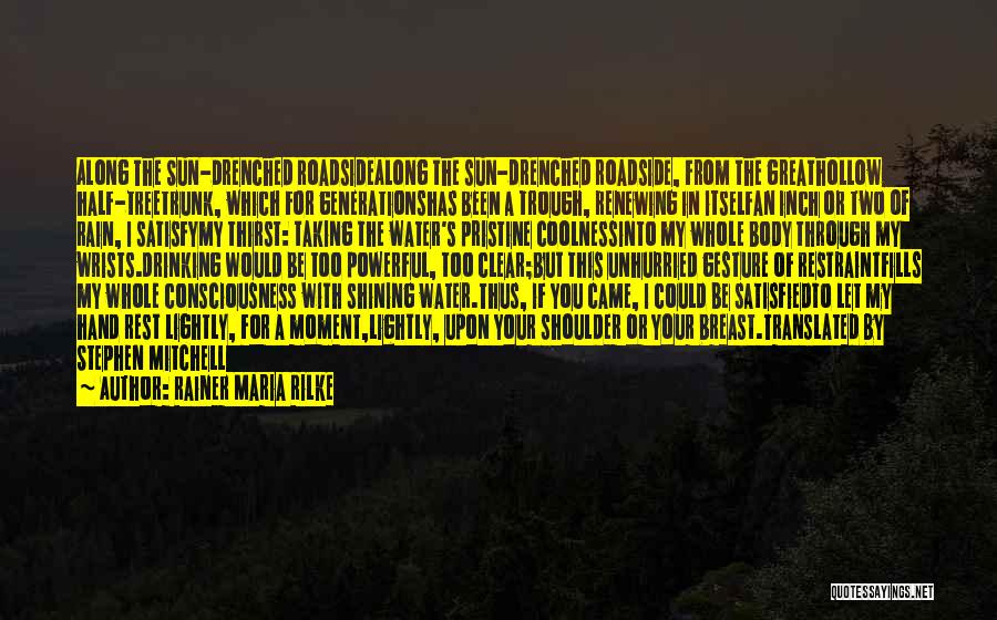 Rainer Maria Rilke Quotes: Along The Sun-drenched Roadsidealong The Sun-drenched Roadside, From The Greathollow Half-treetrunk, Which For Generationshas Been A Trough, Renewing In Itselfan