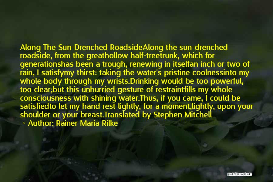 Rainer Maria Rilke Quotes: Along The Sun-drenched Roadsidealong The Sun-drenched Roadside, From The Greathollow Half-treetrunk, Which For Generationshas Been A Trough, Renewing In Itselfan