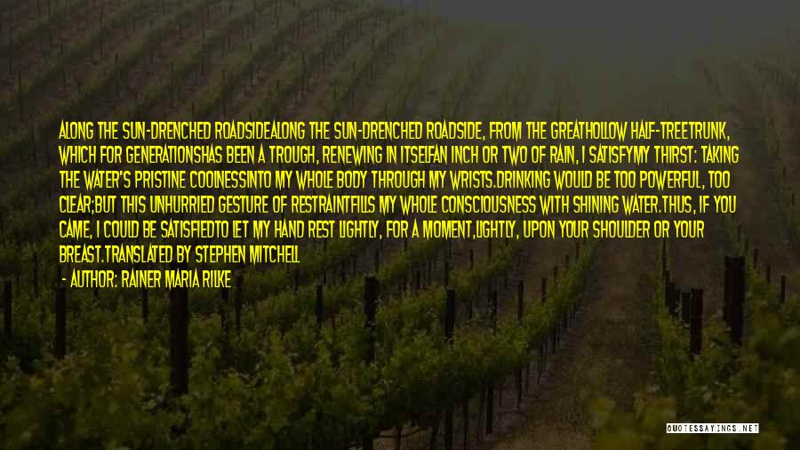 Rainer Maria Rilke Quotes: Along The Sun-drenched Roadsidealong The Sun-drenched Roadside, From The Greathollow Half-treetrunk, Which For Generationshas Been A Trough, Renewing In Itselfan