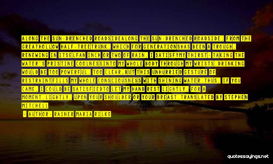 Rainer Maria Rilke Quotes: Along The Sun-drenched Roadsidealong The Sun-drenched Roadside, From The Greathollow Half-treetrunk, Which For Generationshas Been A Trough, Renewing In Itselfan