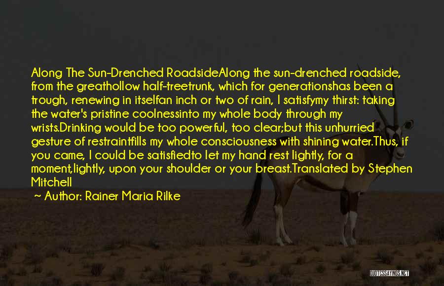 Rainer Maria Rilke Quotes: Along The Sun-drenched Roadsidealong The Sun-drenched Roadside, From The Greathollow Half-treetrunk, Which For Generationshas Been A Trough, Renewing In Itselfan