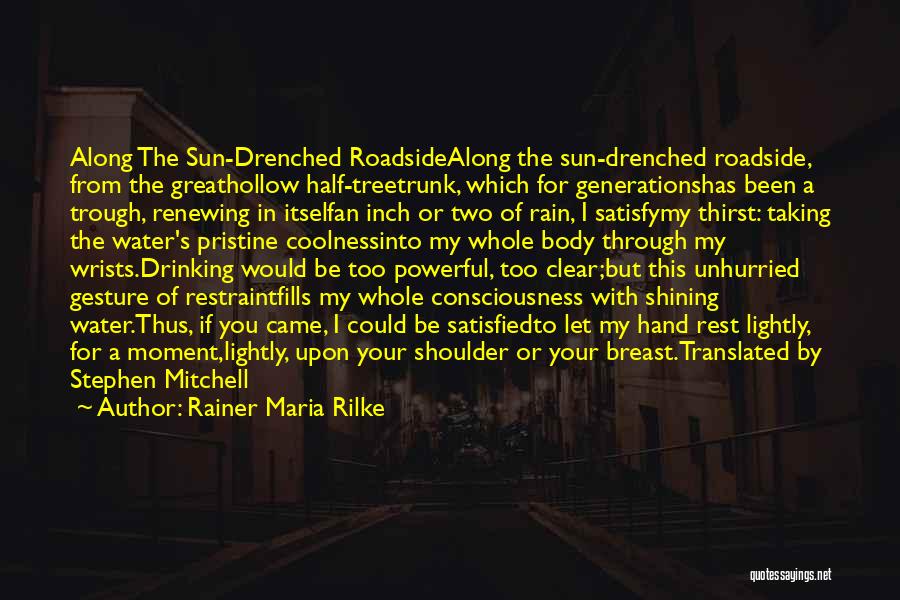 Rainer Maria Rilke Quotes: Along The Sun-drenched Roadsidealong The Sun-drenched Roadside, From The Greathollow Half-treetrunk, Which For Generationshas Been A Trough, Renewing In Itselfan