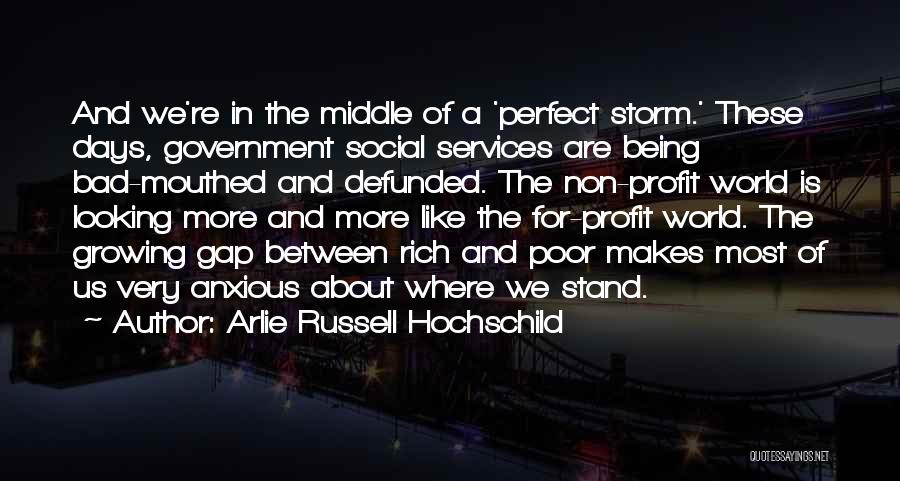 Arlie Russell Hochschild Quotes: And We're In The Middle Of A 'perfect Storm.' These Days, Government Social Services Are Being Bad-mouthed And Defunded. The