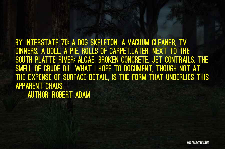 Robert Adam Quotes: By Interstate 70: A Dog Skeleton, A Vacuum Cleaner, Tv Dinners, A Doll, A Pie, Rolls Of Carpet.later, Next To