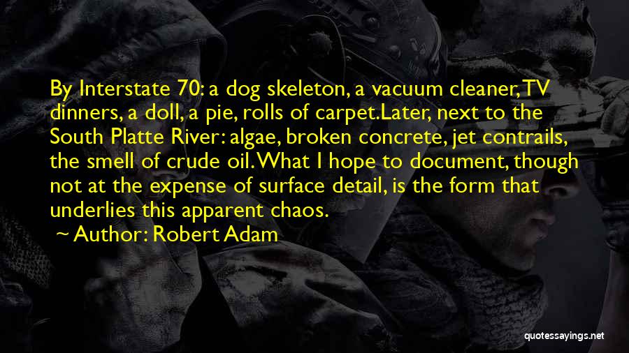 Robert Adam Quotes: By Interstate 70: A Dog Skeleton, A Vacuum Cleaner, Tv Dinners, A Doll, A Pie, Rolls Of Carpet.later, Next To