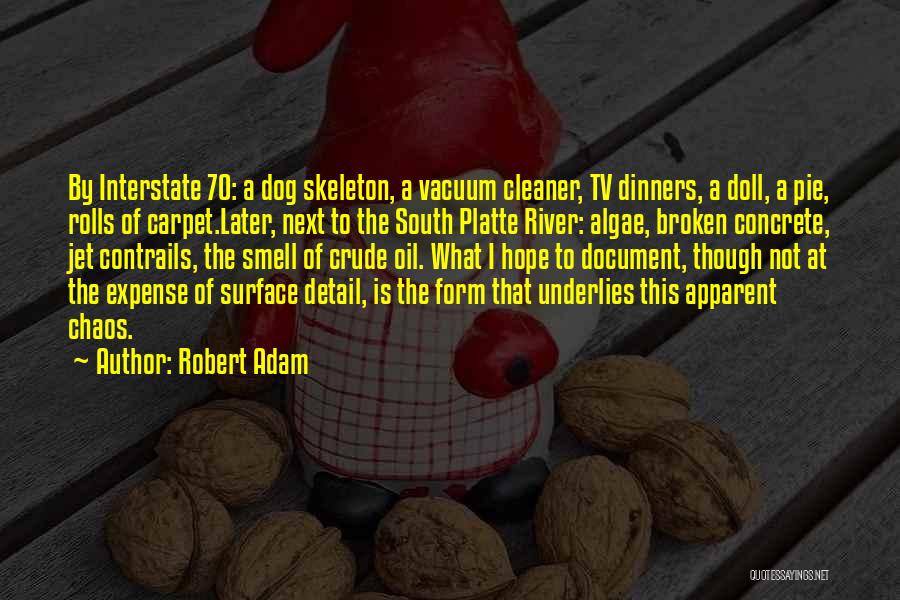 Robert Adam Quotes: By Interstate 70: A Dog Skeleton, A Vacuum Cleaner, Tv Dinners, A Doll, A Pie, Rolls Of Carpet.later, Next To