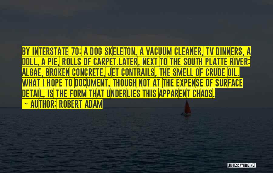 Robert Adam Quotes: By Interstate 70: A Dog Skeleton, A Vacuum Cleaner, Tv Dinners, A Doll, A Pie, Rolls Of Carpet.later, Next To
