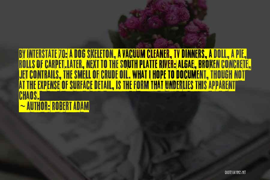 Robert Adam Quotes: By Interstate 70: A Dog Skeleton, A Vacuum Cleaner, Tv Dinners, A Doll, A Pie, Rolls Of Carpet.later, Next To