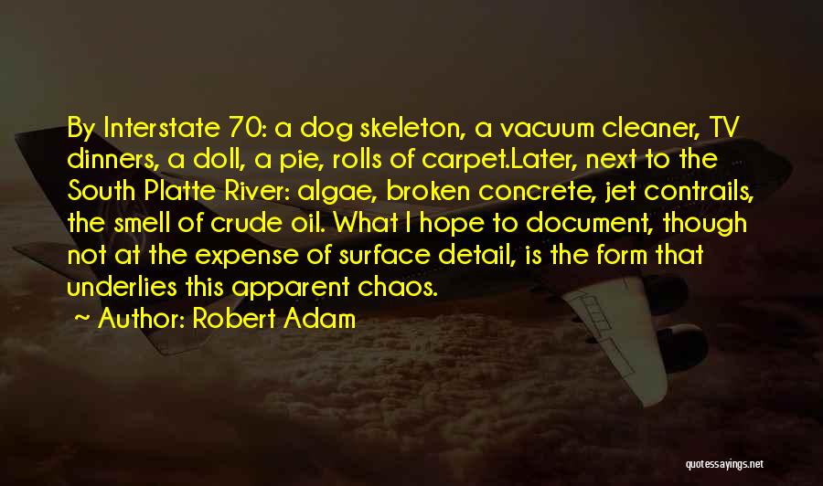 Robert Adam Quotes: By Interstate 70: A Dog Skeleton, A Vacuum Cleaner, Tv Dinners, A Doll, A Pie, Rolls Of Carpet.later, Next To