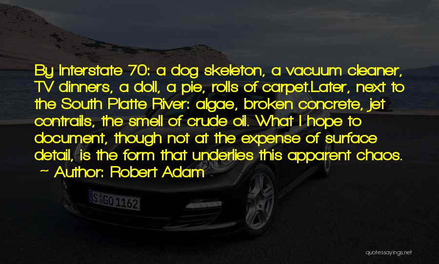 Robert Adam Quotes: By Interstate 70: A Dog Skeleton, A Vacuum Cleaner, Tv Dinners, A Doll, A Pie, Rolls Of Carpet.later, Next To
