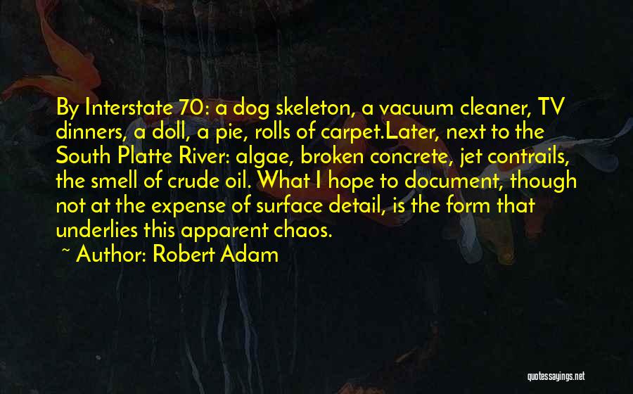 Robert Adam Quotes: By Interstate 70: A Dog Skeleton, A Vacuum Cleaner, Tv Dinners, A Doll, A Pie, Rolls Of Carpet.later, Next To