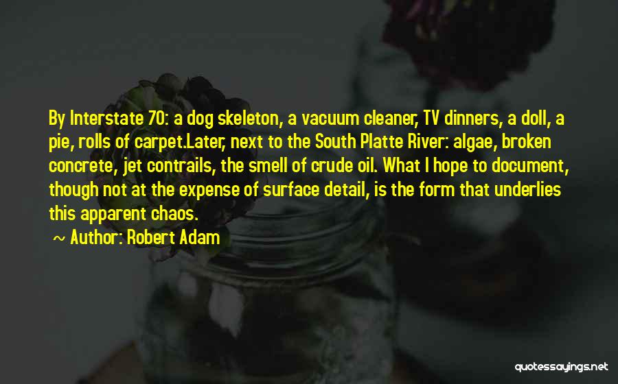 Robert Adam Quotes: By Interstate 70: A Dog Skeleton, A Vacuum Cleaner, Tv Dinners, A Doll, A Pie, Rolls Of Carpet.later, Next To