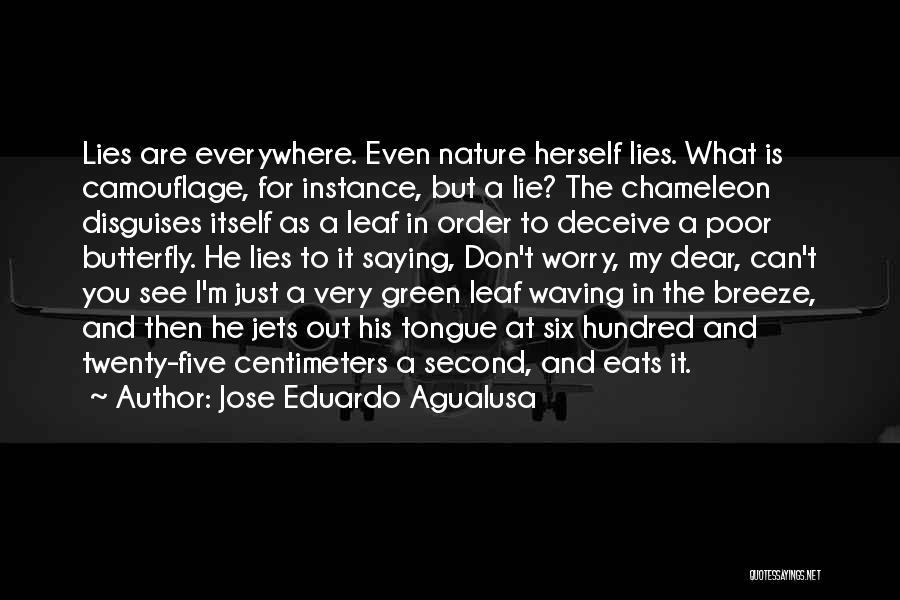 Jose Eduardo Agualusa Quotes: Lies Are Everywhere. Even Nature Herself Lies. What Is Camouflage, For Instance, But A Lie? The Chameleon Disguises Itself As