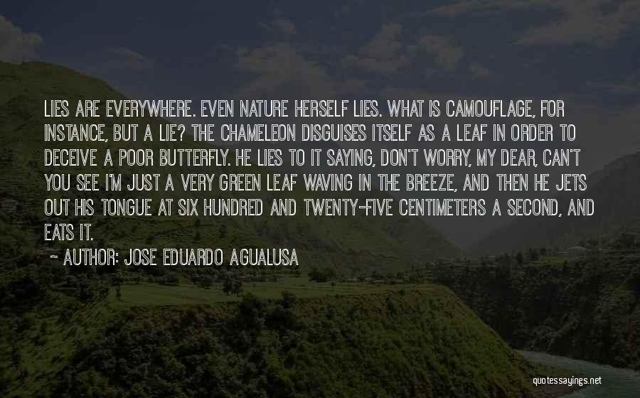 Jose Eduardo Agualusa Quotes: Lies Are Everywhere. Even Nature Herself Lies. What Is Camouflage, For Instance, But A Lie? The Chameleon Disguises Itself As