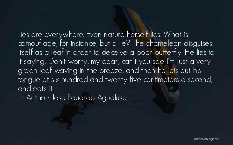 Jose Eduardo Agualusa Quotes: Lies Are Everywhere. Even Nature Herself Lies. What Is Camouflage, For Instance, But A Lie? The Chameleon Disguises Itself As