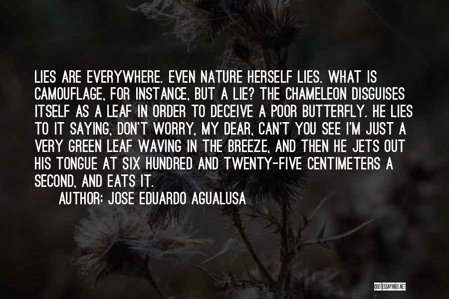 Jose Eduardo Agualusa Quotes: Lies Are Everywhere. Even Nature Herself Lies. What Is Camouflage, For Instance, But A Lie? The Chameleon Disguises Itself As