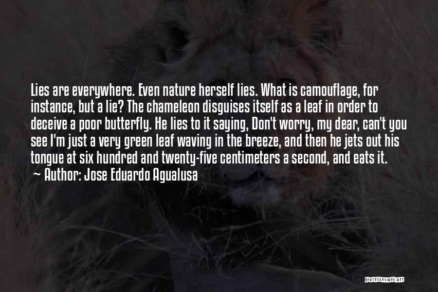 Jose Eduardo Agualusa Quotes: Lies Are Everywhere. Even Nature Herself Lies. What Is Camouflage, For Instance, But A Lie? The Chameleon Disguises Itself As