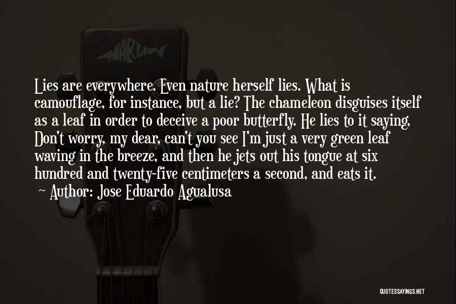 Jose Eduardo Agualusa Quotes: Lies Are Everywhere. Even Nature Herself Lies. What Is Camouflage, For Instance, But A Lie? The Chameleon Disguises Itself As