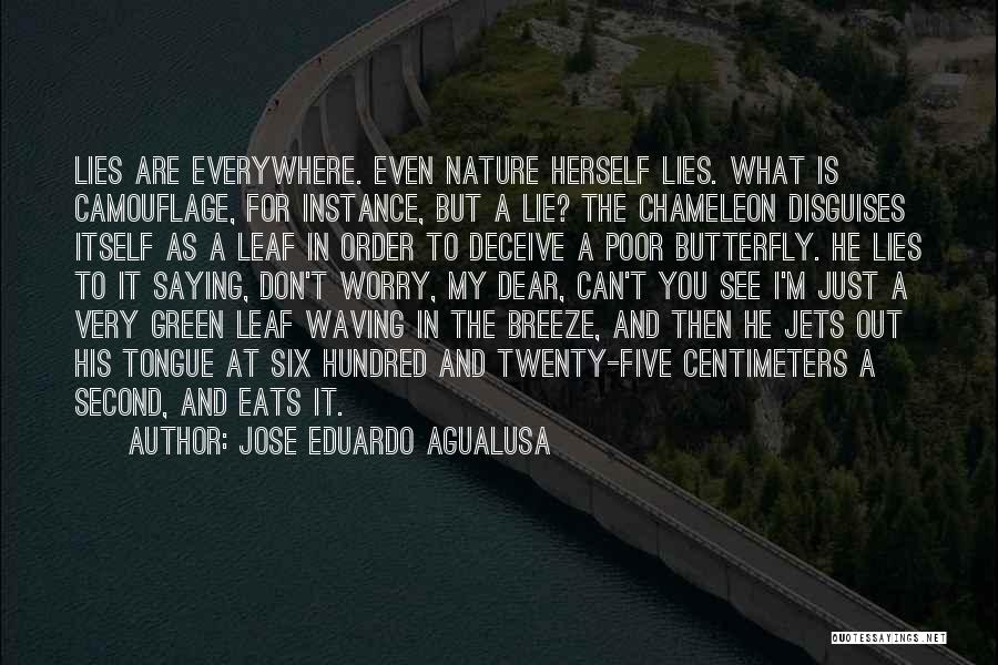 Jose Eduardo Agualusa Quotes: Lies Are Everywhere. Even Nature Herself Lies. What Is Camouflage, For Instance, But A Lie? The Chameleon Disguises Itself As