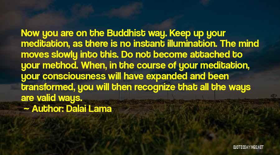 Dalai Lama Quotes: Now You Are On The Buddhist Way. Keep Up Your Meditation, As There Is No Instant Illumination. The Mind Moves