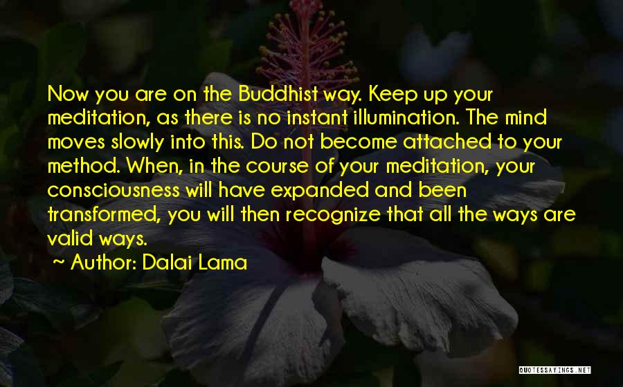 Dalai Lama Quotes: Now You Are On The Buddhist Way. Keep Up Your Meditation, As There Is No Instant Illumination. The Mind Moves