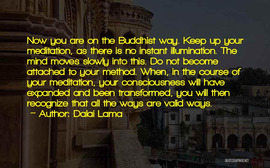 Dalai Lama Quotes: Now You Are On The Buddhist Way. Keep Up Your Meditation, As There Is No Instant Illumination. The Mind Moves