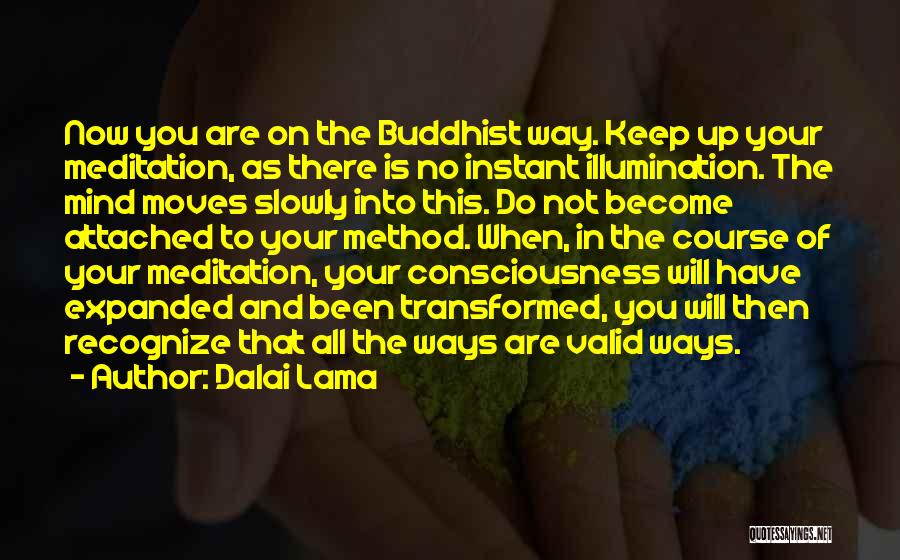 Dalai Lama Quotes: Now You Are On The Buddhist Way. Keep Up Your Meditation, As There Is No Instant Illumination. The Mind Moves