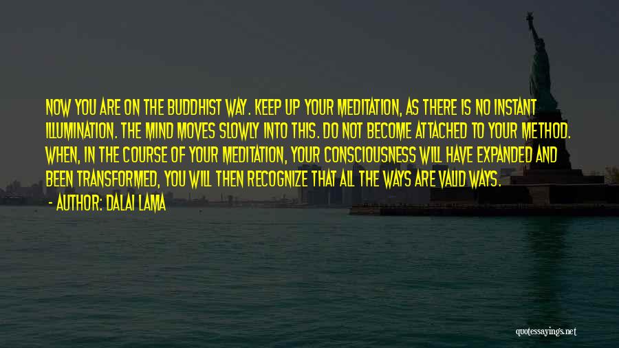 Dalai Lama Quotes: Now You Are On The Buddhist Way. Keep Up Your Meditation, As There Is No Instant Illumination. The Mind Moves