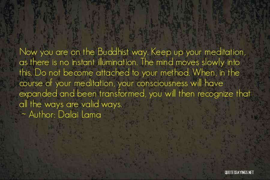 Dalai Lama Quotes: Now You Are On The Buddhist Way. Keep Up Your Meditation, As There Is No Instant Illumination. The Mind Moves