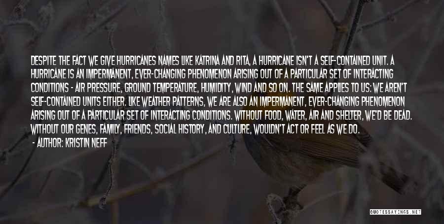 Kristin Neff Quotes: Despite The Fact We Give Hurricanes Names Like Katrina And Rita, A Hurricane Isn't A Self-contained Unit. A Hurricane Is