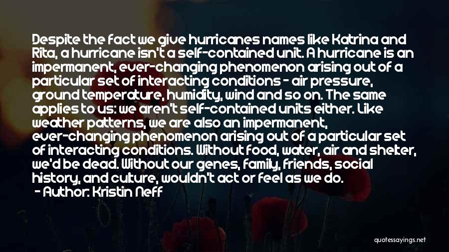 Kristin Neff Quotes: Despite The Fact We Give Hurricanes Names Like Katrina And Rita, A Hurricane Isn't A Self-contained Unit. A Hurricane Is