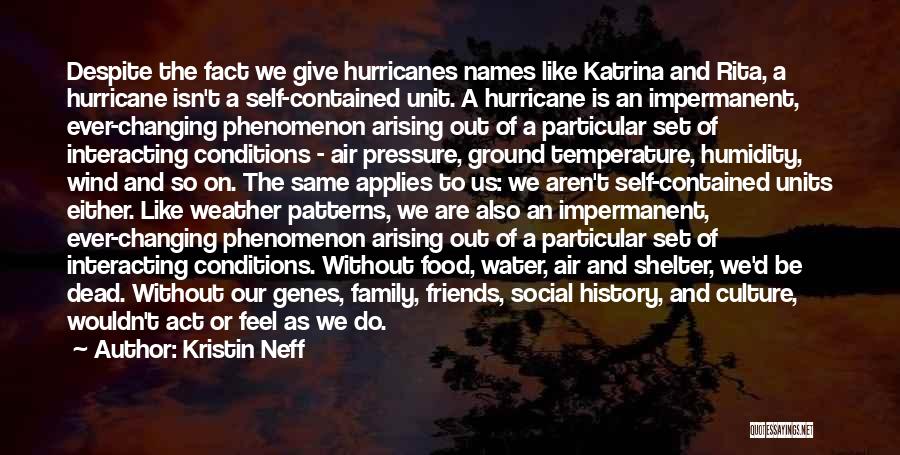 Kristin Neff Quotes: Despite The Fact We Give Hurricanes Names Like Katrina And Rita, A Hurricane Isn't A Self-contained Unit. A Hurricane Is