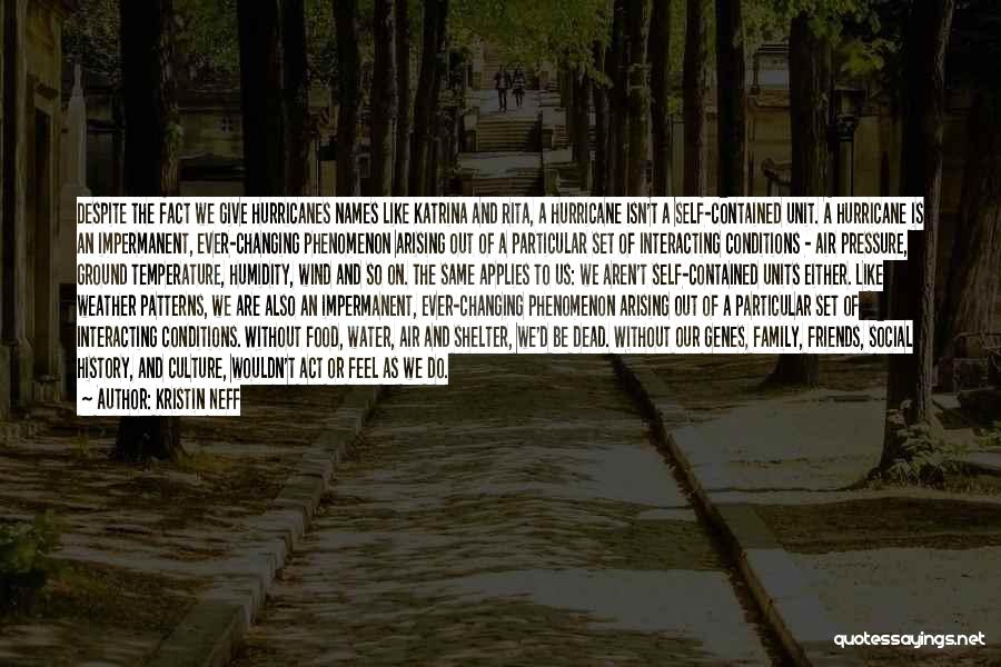 Kristin Neff Quotes: Despite The Fact We Give Hurricanes Names Like Katrina And Rita, A Hurricane Isn't A Self-contained Unit. A Hurricane Is