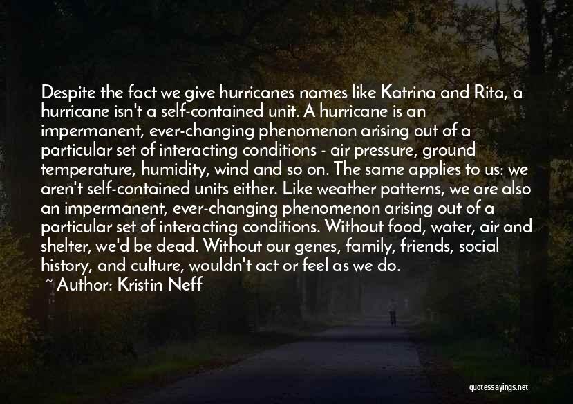 Kristin Neff Quotes: Despite The Fact We Give Hurricanes Names Like Katrina And Rita, A Hurricane Isn't A Self-contained Unit. A Hurricane Is