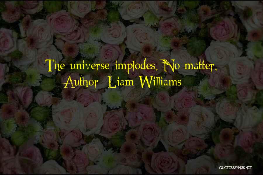 Liam Williams Quotes: The Universe Implodes. No Matter.