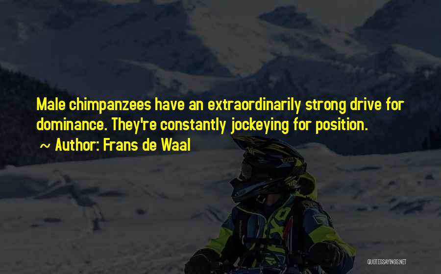 Frans De Waal Quotes: Male Chimpanzees Have An Extraordinarily Strong Drive For Dominance. They're Constantly Jockeying For Position.