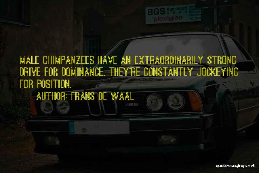 Frans De Waal Quotes: Male Chimpanzees Have An Extraordinarily Strong Drive For Dominance. They're Constantly Jockeying For Position.