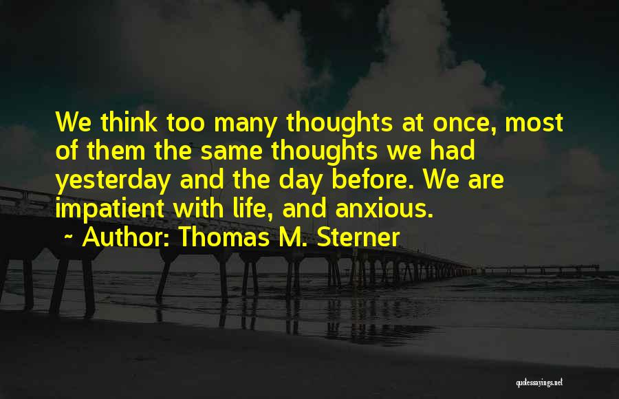 Thomas M. Sterner Quotes: We Think Too Many Thoughts At Once, Most Of Them The Same Thoughts We Had Yesterday And The Day Before.