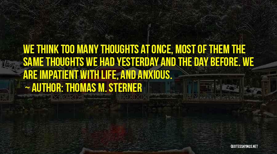 Thomas M. Sterner Quotes: We Think Too Many Thoughts At Once, Most Of Them The Same Thoughts We Had Yesterday And The Day Before.