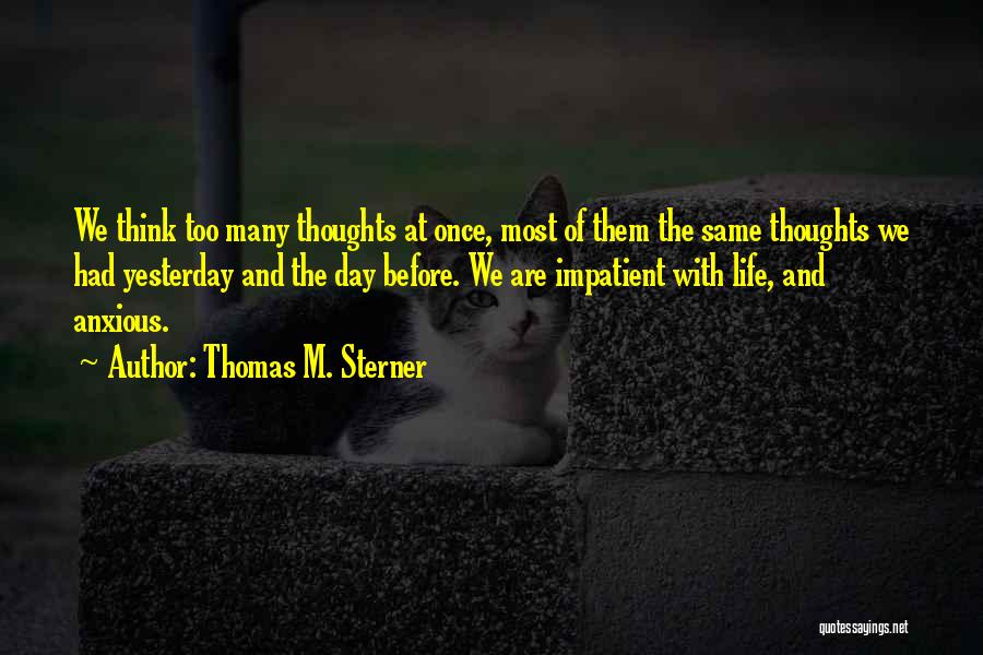 Thomas M. Sterner Quotes: We Think Too Many Thoughts At Once, Most Of Them The Same Thoughts We Had Yesterday And The Day Before.