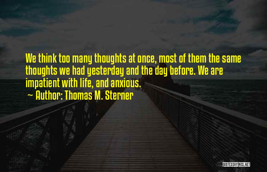 Thomas M. Sterner Quotes: We Think Too Many Thoughts At Once, Most Of Them The Same Thoughts We Had Yesterday And The Day Before.