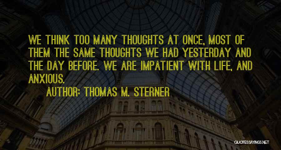 Thomas M. Sterner Quotes: We Think Too Many Thoughts At Once, Most Of Them The Same Thoughts We Had Yesterday And The Day Before.