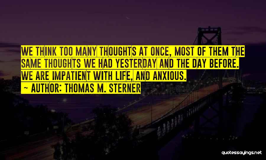 Thomas M. Sterner Quotes: We Think Too Many Thoughts At Once, Most Of Them The Same Thoughts We Had Yesterday And The Day Before.