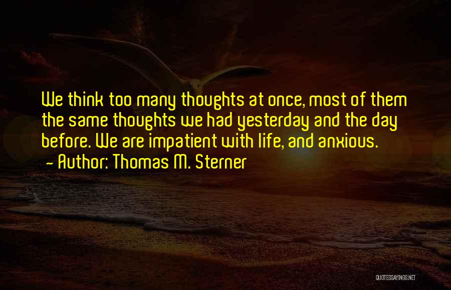 Thomas M. Sterner Quotes: We Think Too Many Thoughts At Once, Most Of Them The Same Thoughts We Had Yesterday And The Day Before.