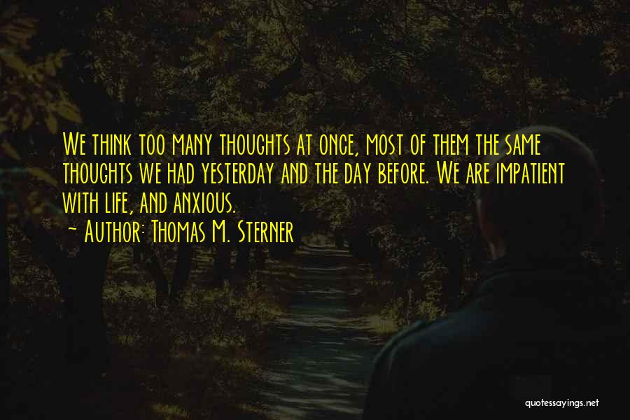 Thomas M. Sterner Quotes: We Think Too Many Thoughts At Once, Most Of Them The Same Thoughts We Had Yesterday And The Day Before.