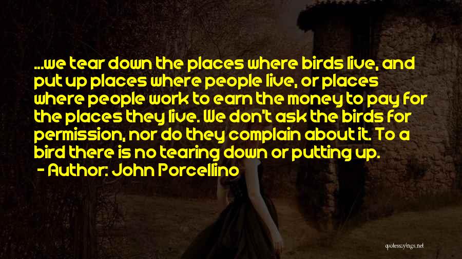 John Porcellino Quotes: ...we Tear Down The Places Where Birds Live, And Put Up Places Where People Live, Or Places Where People Work