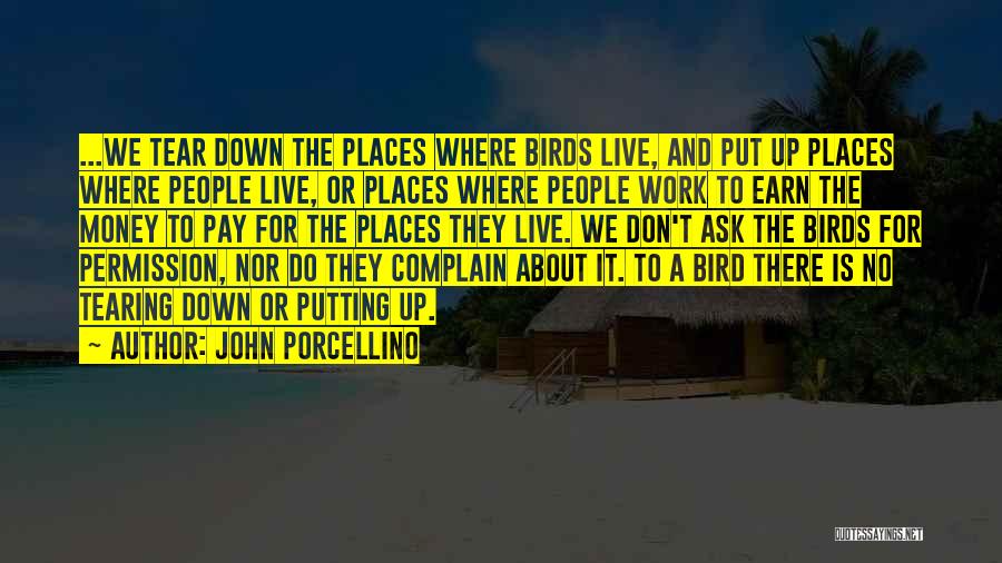 John Porcellino Quotes: ...we Tear Down The Places Where Birds Live, And Put Up Places Where People Live, Or Places Where People Work