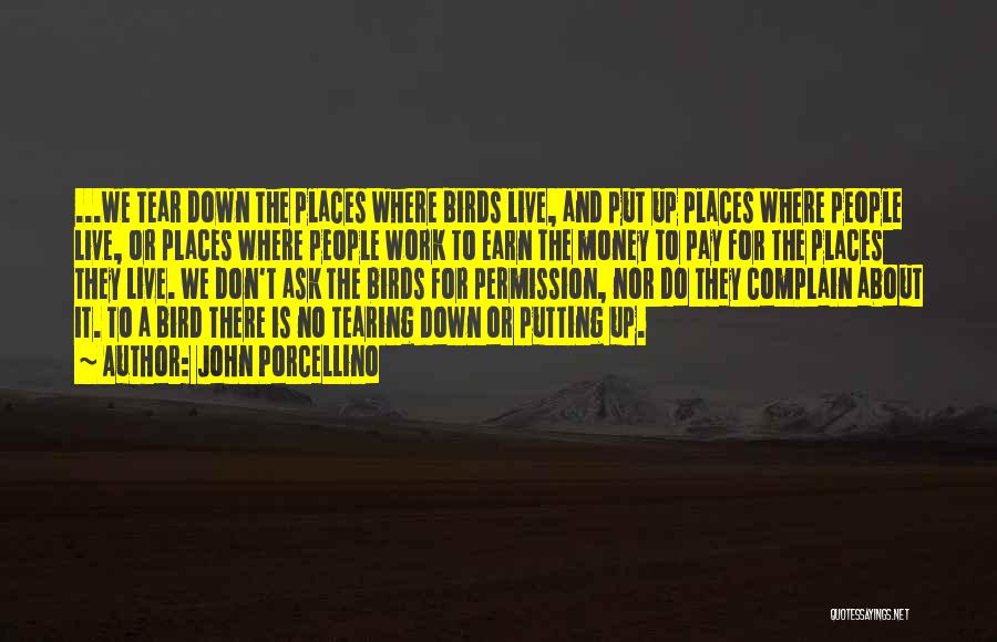 John Porcellino Quotes: ...we Tear Down The Places Where Birds Live, And Put Up Places Where People Live, Or Places Where People Work
