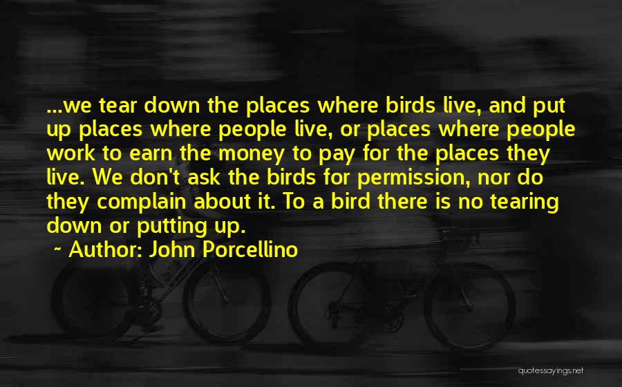 John Porcellino Quotes: ...we Tear Down The Places Where Birds Live, And Put Up Places Where People Live, Or Places Where People Work